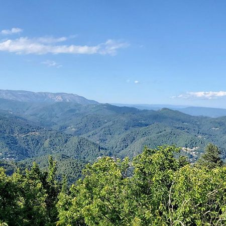 Gite De Combelebouze En Cevennes - Cosy, Confort Et Climatise - 3 Etoiles Saint-Privat-de-Vallongue Екстер'єр фото