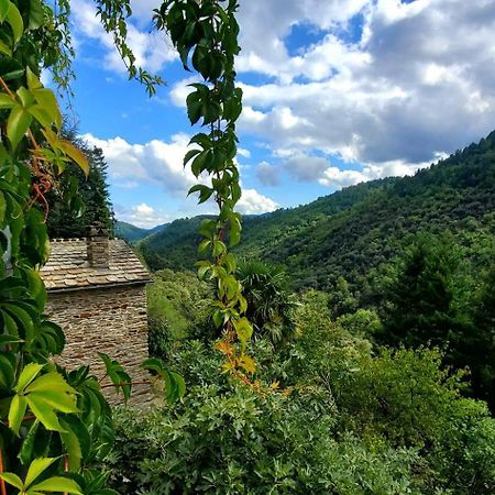 Gite De Combelebouze En Cevennes - Cosy, Confort Et Climatise - 3 Etoiles Saint-Privat-de-Vallongue Екстер'єр фото