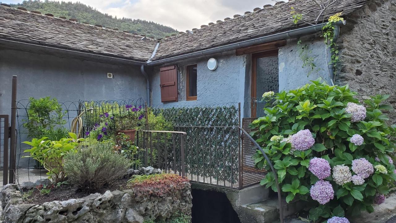 Gite De Combelebouze En Cevennes - Cosy, Confort Et Climatise - 3 Etoiles Saint-Privat-de-Vallongue Екстер'єр фото
