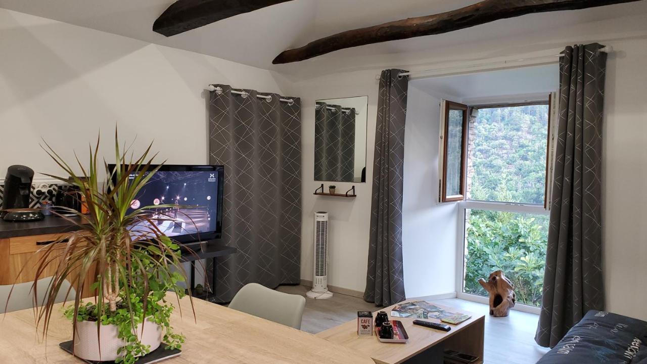 Gite De Combelebouze En Cevennes - Cosy, Confort Et Climatise - 3 Etoiles Saint-Privat-de-Vallongue Екстер'єр фото