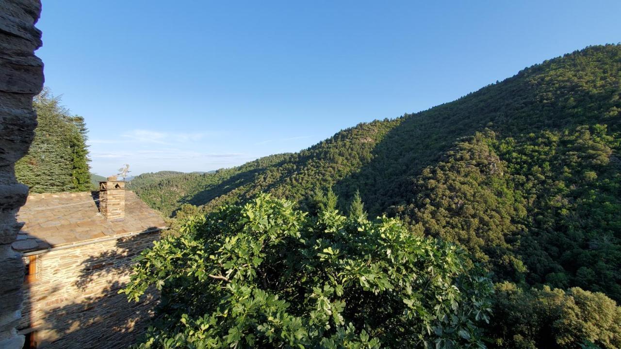 Gite De Combelebouze En Cevennes - Cosy, Confort Et Climatise - 3 Etoiles Saint-Privat-de-Vallongue Екстер'єр фото