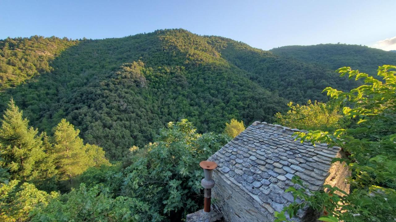 Gite De Combelebouze En Cevennes - Cosy, Confort Et Climatise - 3 Etoiles Saint-Privat-de-Vallongue Екстер'єр фото