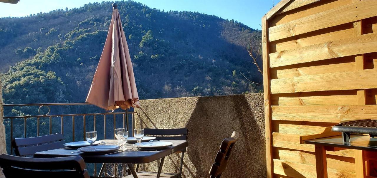 Gite De Combelebouze En Cevennes - Cosy, Confort Et Climatise - 3 Etoiles Saint-Privat-de-Vallongue Екстер'єр фото
