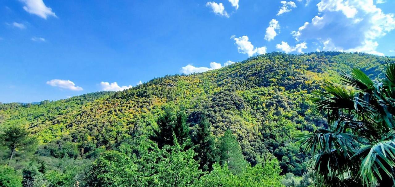 Gite De Combelebouze En Cevennes - Cosy, Confort Et Climatise - 3 Etoiles Saint-Privat-de-Vallongue Екстер'єр фото