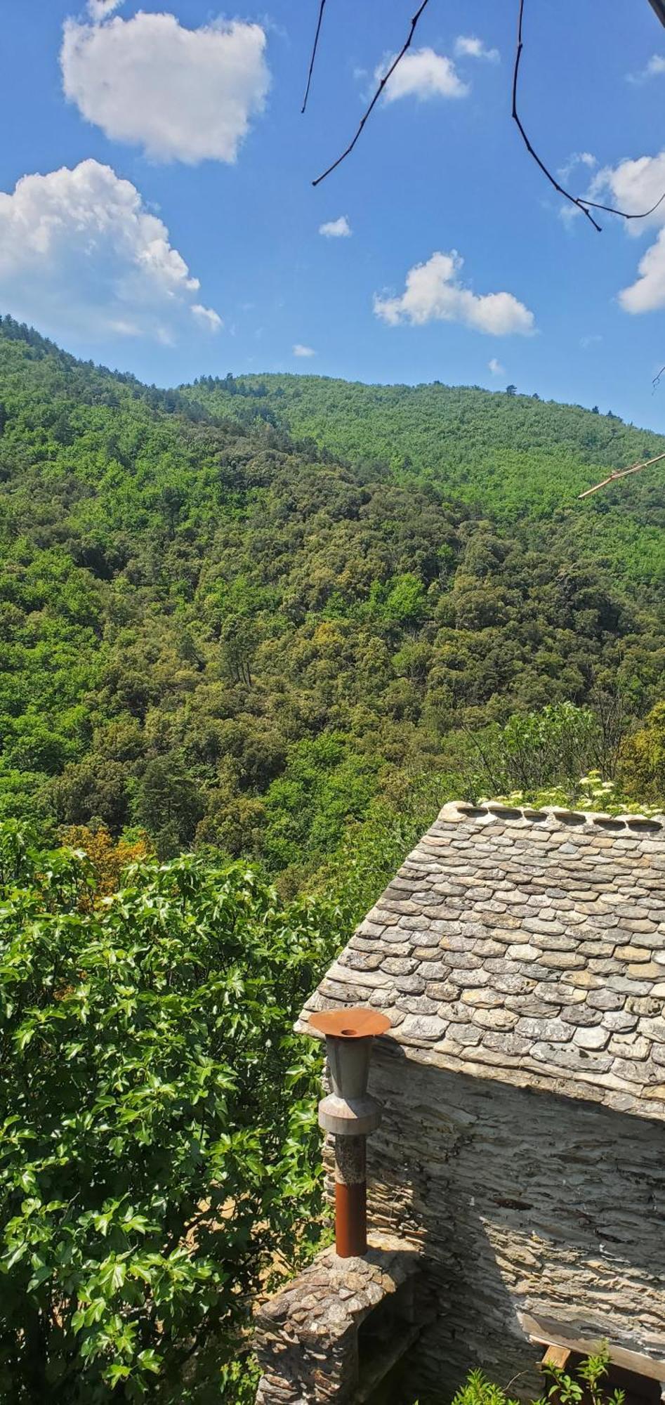 Gite De Combelebouze En Cevennes - Cosy, Confort Et Climatise - 3 Etoiles Saint-Privat-de-Vallongue Екстер'єр фото