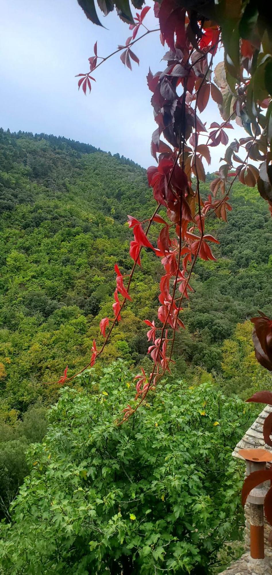 Gite De Combelebouze En Cevennes - Cosy, Confort Et Climatise - 3 Etoiles Saint-Privat-de-Vallongue Екстер'єр фото