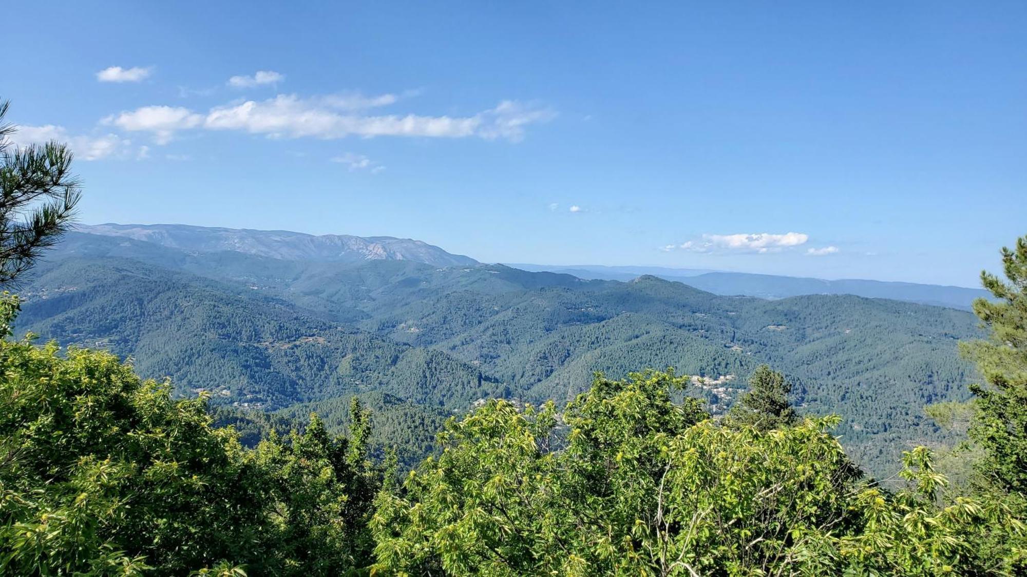 Gite De Combelebouze En Cevennes - Cosy, Confort Et Climatise - 3 Etoiles Saint-Privat-de-Vallongue Екстер'єр фото
