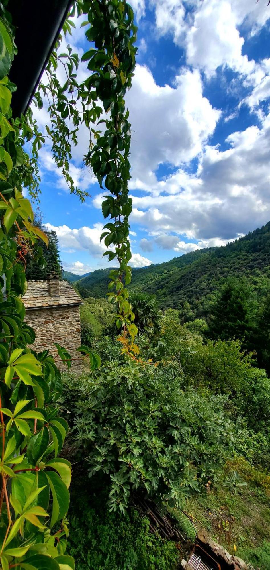 Gite De Combelebouze En Cevennes - Cosy, Confort Et Climatise - 3 Etoiles Saint-Privat-de-Vallongue Екстер'єр фото